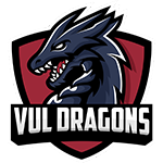 virginia university of lynchburg collaborative health sports medicine support